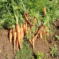 Latest Products Image