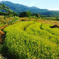 Latest Products Image