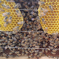 Latest Products Image