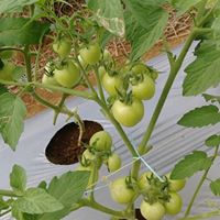 Latest Products Image