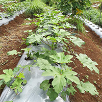 Latest Products Image