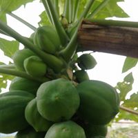 Latest Products Image