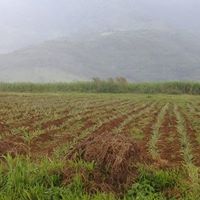 Latest Products Image