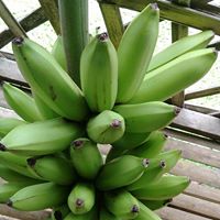 Latest Products Image